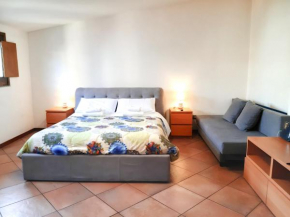 Studio Flat-Palestrina 34